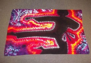 my daughter is a black belt   